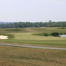 hickory2
