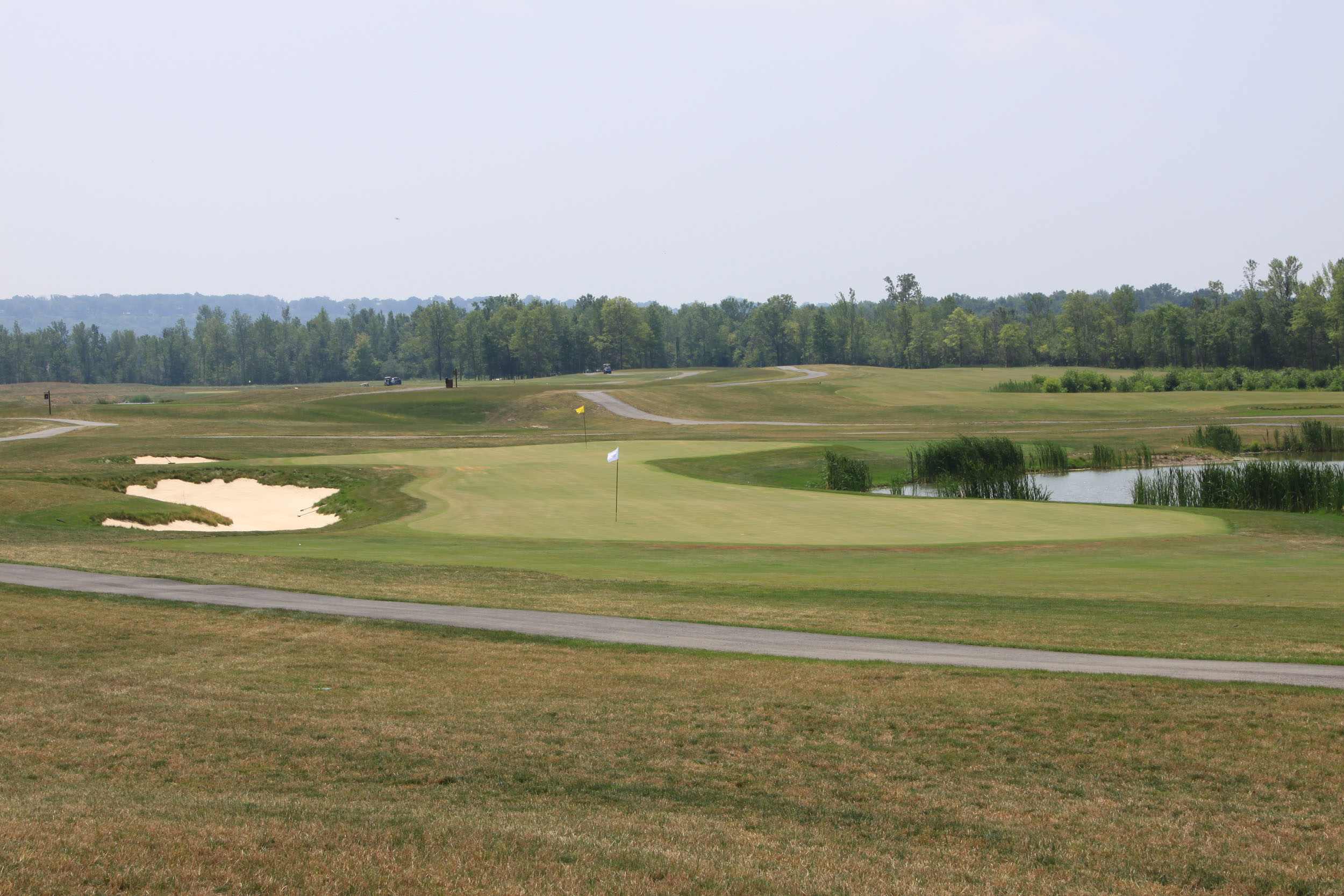 hickory2
