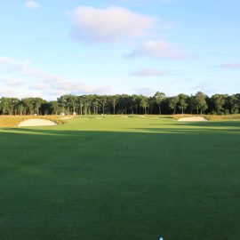 bethpage 11th green
