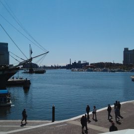 Baltimore 338