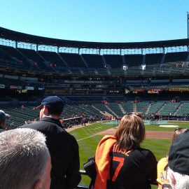 Baltimore 349