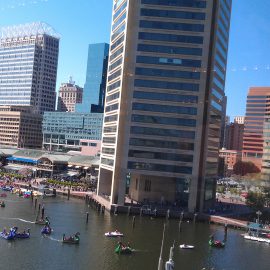 Baltimore 497