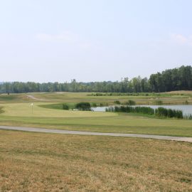 hickory1