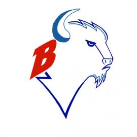 bisons