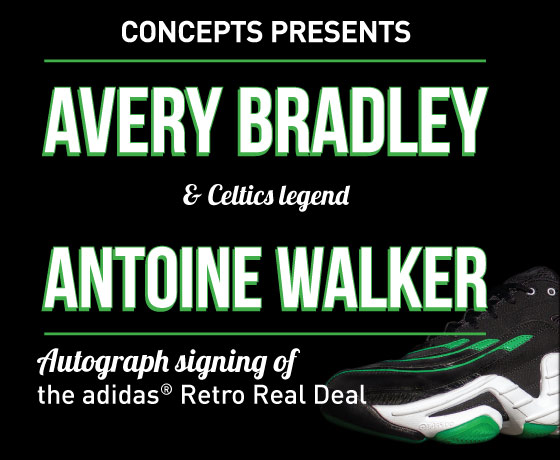 bradley flyer
