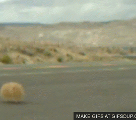 tumbleweed-o