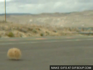tumbleweed-o
