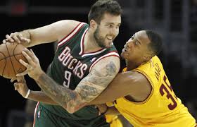 miroslav raduljica