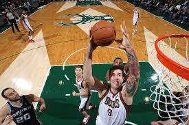 miroslav raduljica