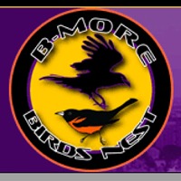 bmorebirdsnest
