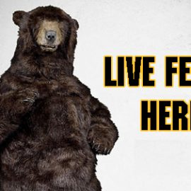 BostonBruins_Onlinefeeds