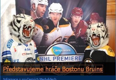 bostonbruinsliberectigers