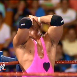 bret hart facepalm