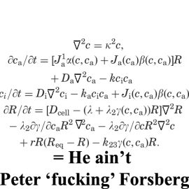 falloonmath