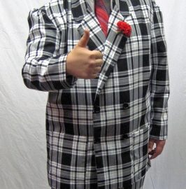 fandoncherrycostume