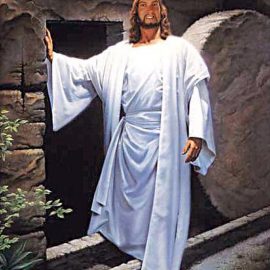 friedmanjesus
