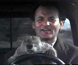 groundhog_day