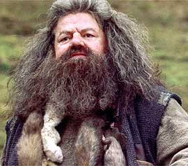 hagrid