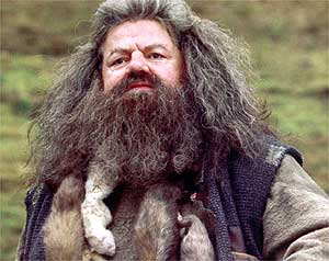 hagrid