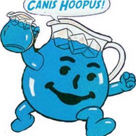 hoopus_kool_aid