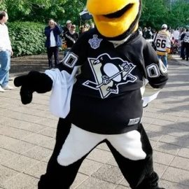 iceburgh