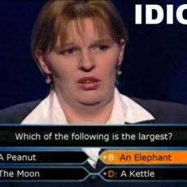 idiot