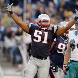 jerod mayo dolphins