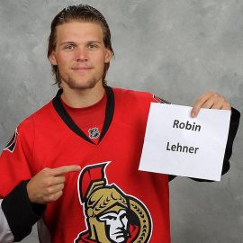 lehnerprofile