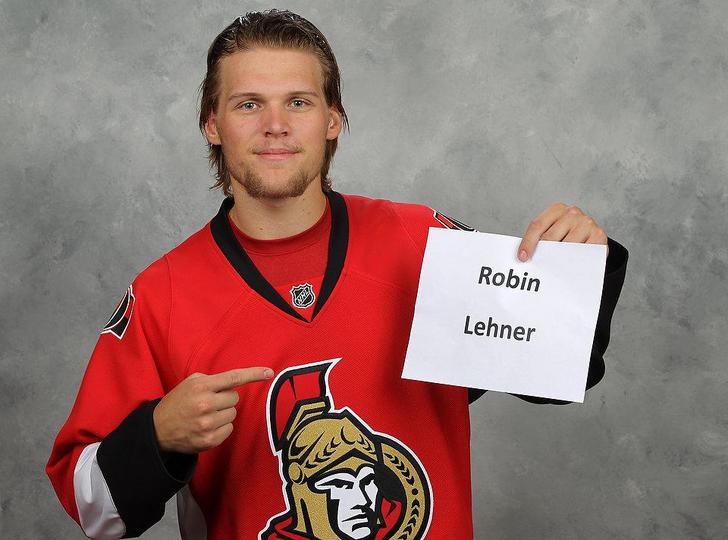 lehnerprofile