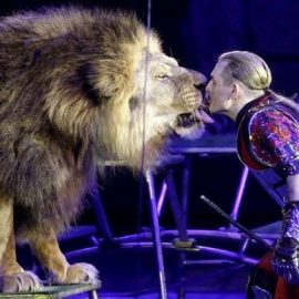 lion_tamer