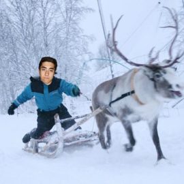 mikareinder