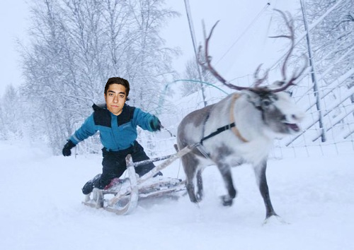 mikareinder