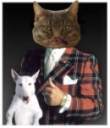 purrgeronsmall