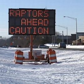 raptors