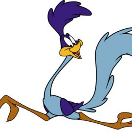 roadrunner