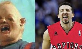 sloth