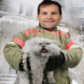 stuartmeancat