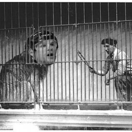 thorntoncaged