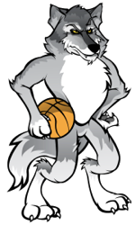 timberwolf small