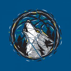 Timberwolves1_Main