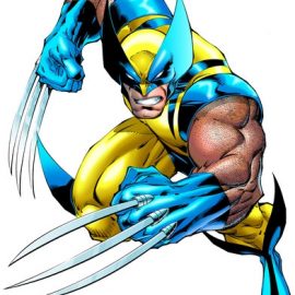 wolverine141