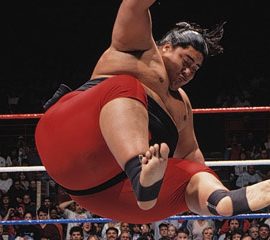 yokozuna