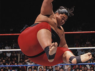 yokozuna
