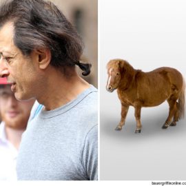 0819-jeff-goldblum-mini-ponytail-credit