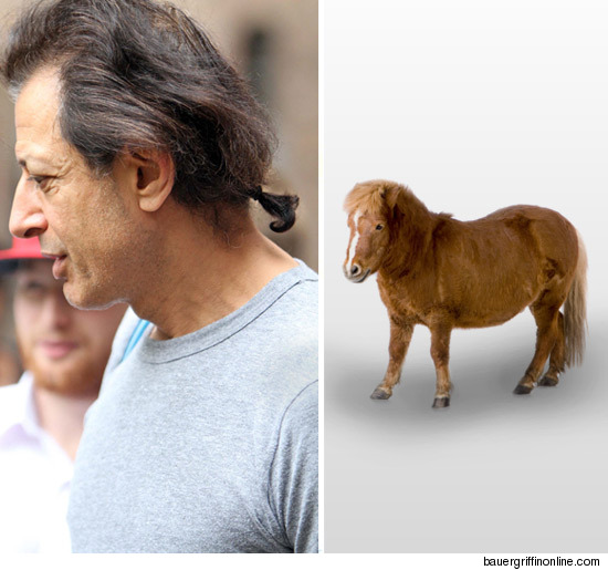 0819-jeff-goldblum-mini-ponytail-credit
