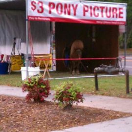 3dollarponypicnick