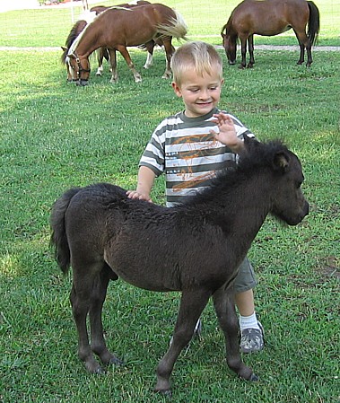 addie20080706a