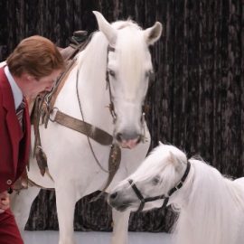 anchormandodgedurangominipony2
