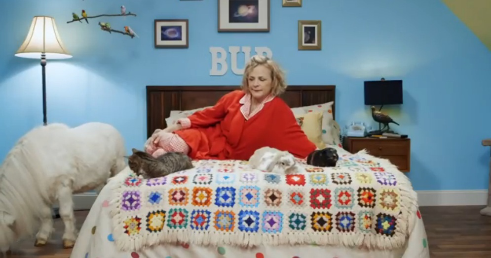 animalplanetamysedarisandrewwkminiponysmrtmnky