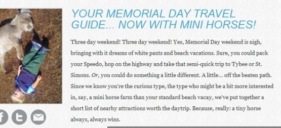 atlantageorgiamemorialdayminihorsesallisony